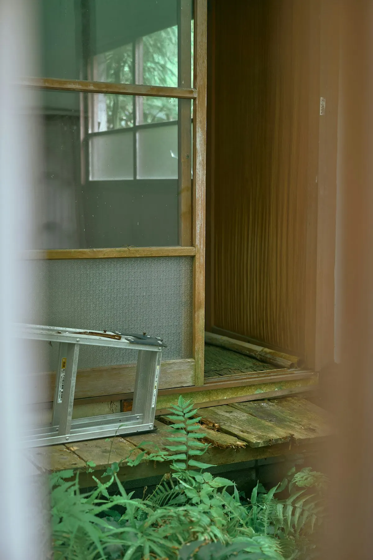 廃屋の窓辺