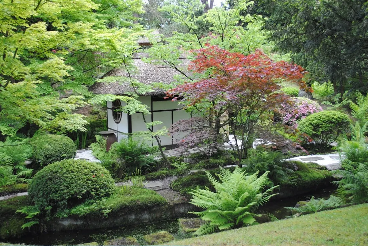 庭園と家屋の屋根