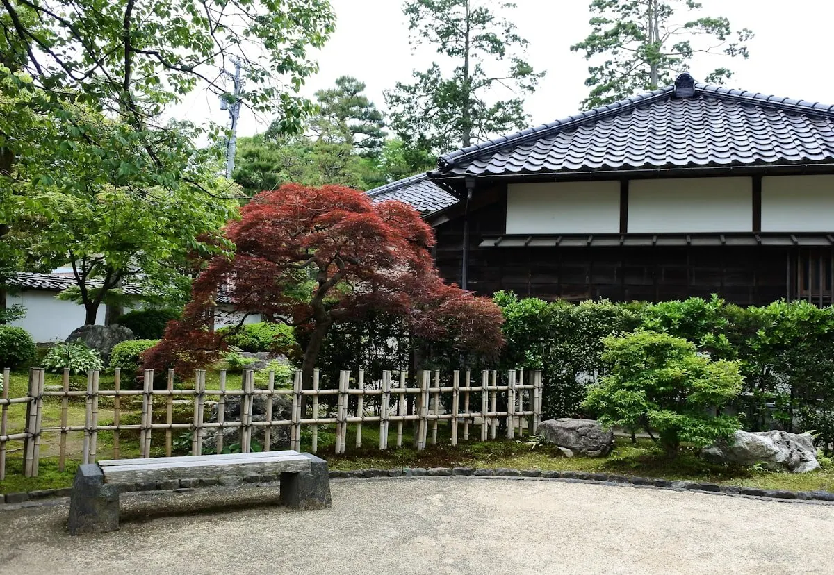 庭木と日本家屋