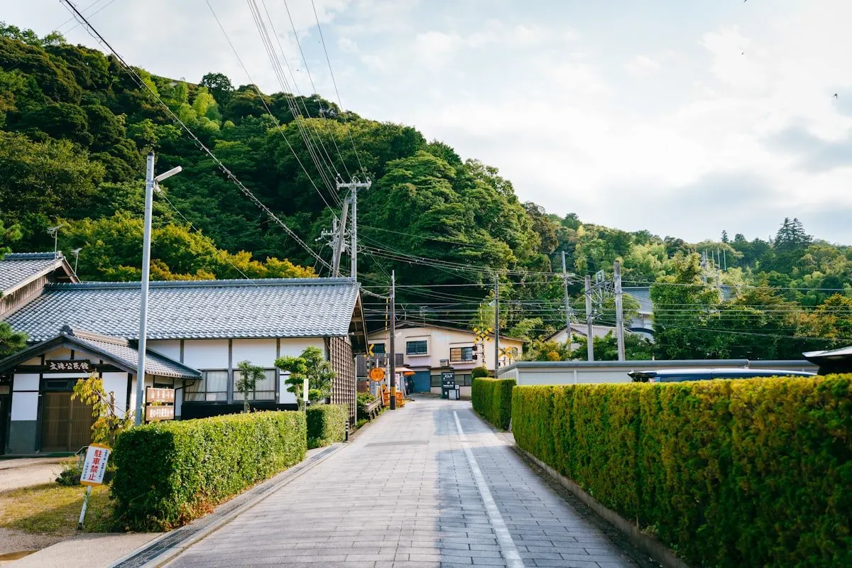 生垣の続く田舎道