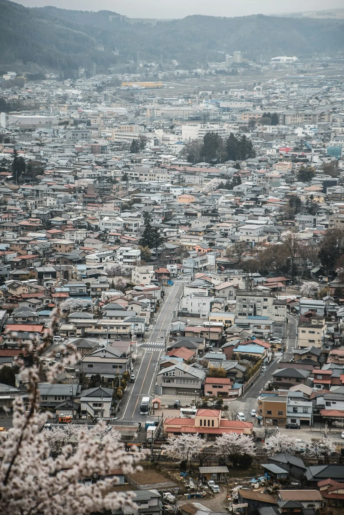 住宅街の俯瞰